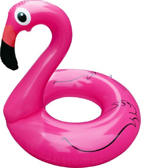 Boia Inflavel de Flamingo 120cm