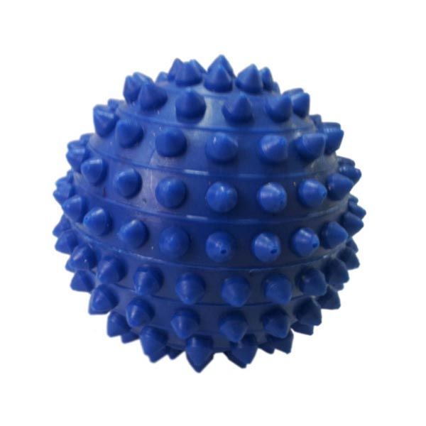 Bola de Fisioterapia c/ Cravo 2/1 R:157c