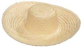 Chapeu Palha Gigantinho Ref:733