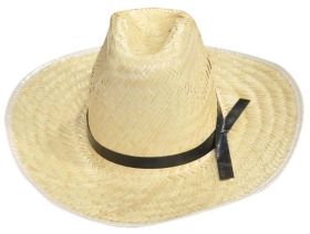 Chapeu Palha Texano Tropeiro Simples Aba 10 R:732