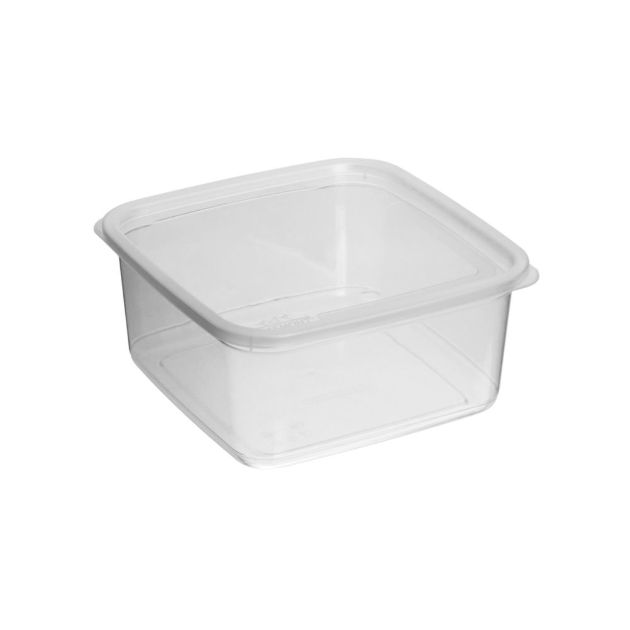 Plasmont Pote Newlife 3,2l Tranp