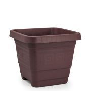 Plasmont Vaso Quad. 29 Lto Eg Cafe R:538