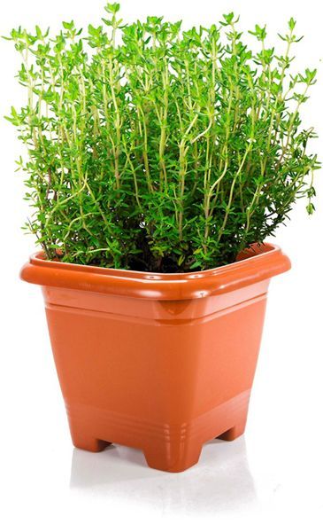 Vaso Plastico Quadrado 2 Lts Ceramico R:1332