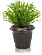 Vaso Plastico Redondo 7,5lts Preto R:1322